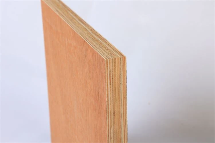 Container Floor Plywood